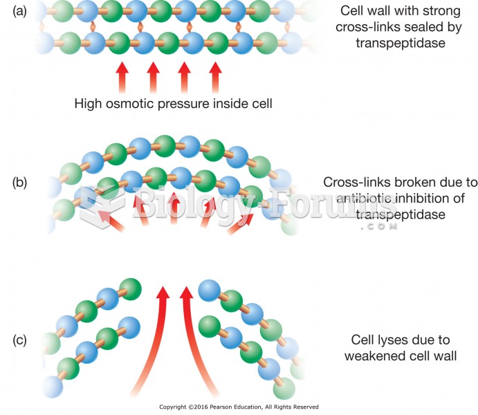 Mechanism of penicillin: (a) Bacterial cell wall strengthened by peptide cross-links. (b) Penicillin ...