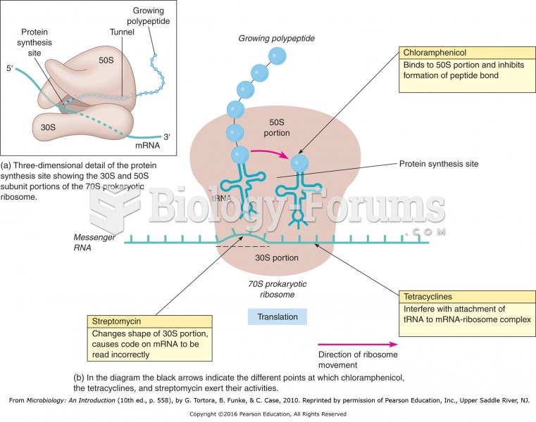 Mechanisms of action of antibiotics inhibiting bacterial protein synthesis.