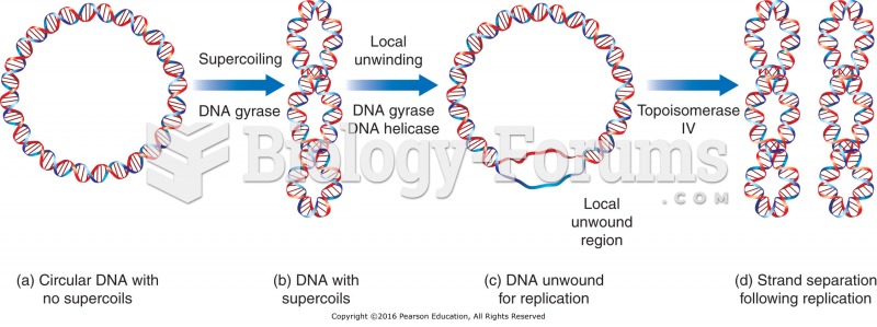 The unwinding and replication of bacterial DNA.