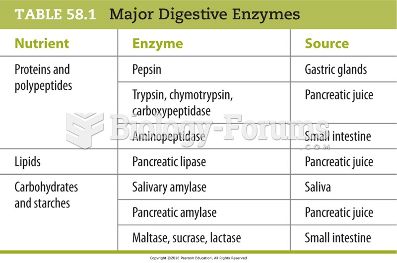 Major Digestive Enzymes