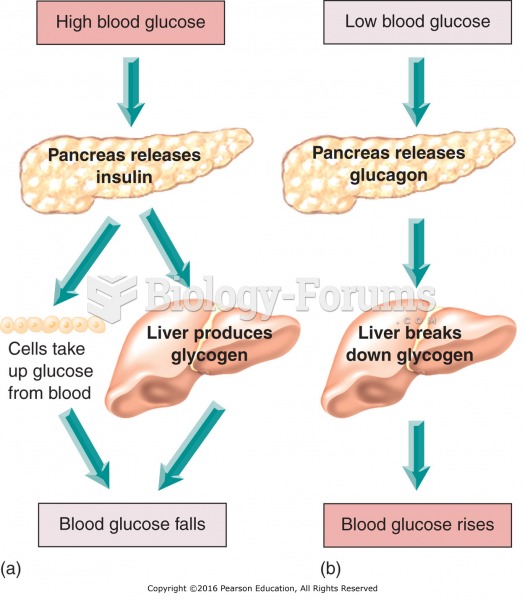 Insulin, glucagon, and blood glucose.
