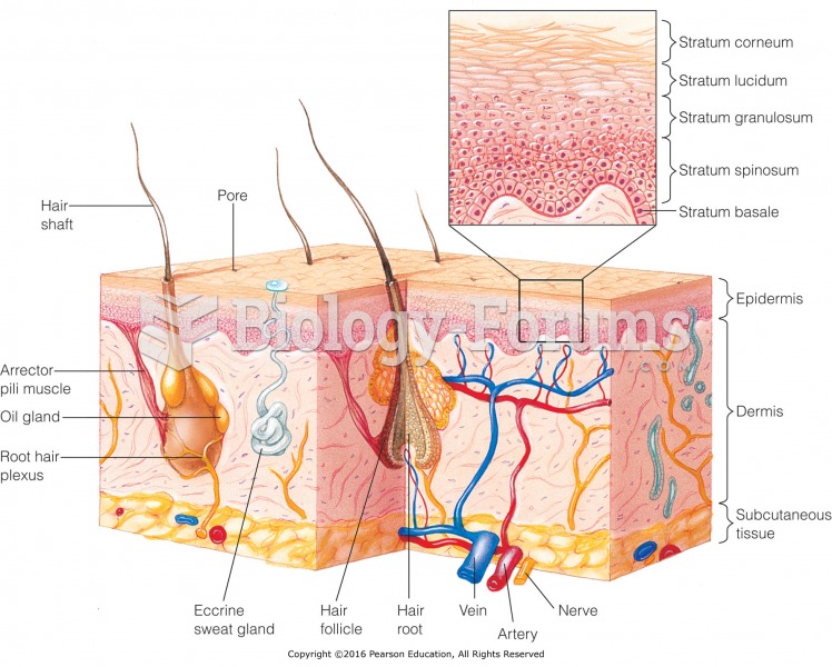 Anatomy of the skin.