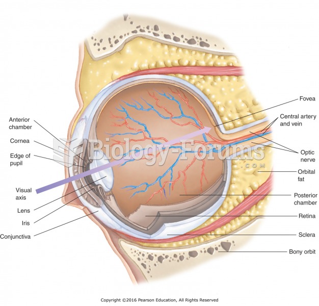 Anatomy of the interior of the eye.