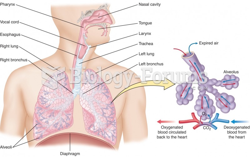 The respiratory system and the process of gas exchange.