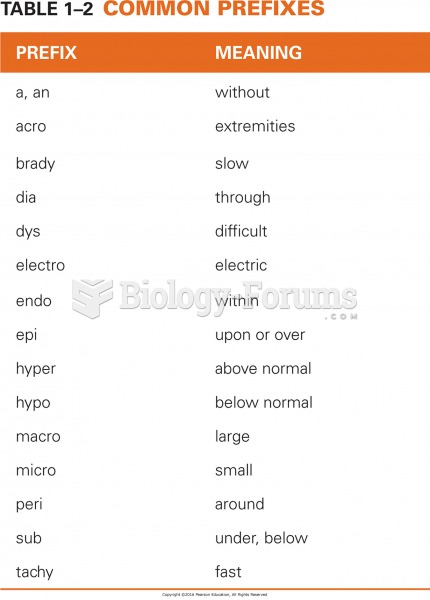 Common Prefixes 