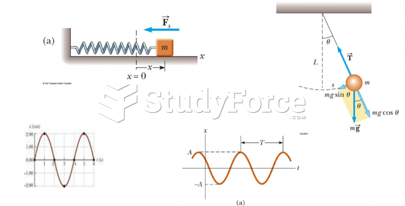 Simple harmonic motion also forms the basis for understanding mechanical waves