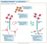 Monoclonal Antibodies and Cancer Cells