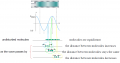 Graphical representation of a sinusoidal longitudinal wave