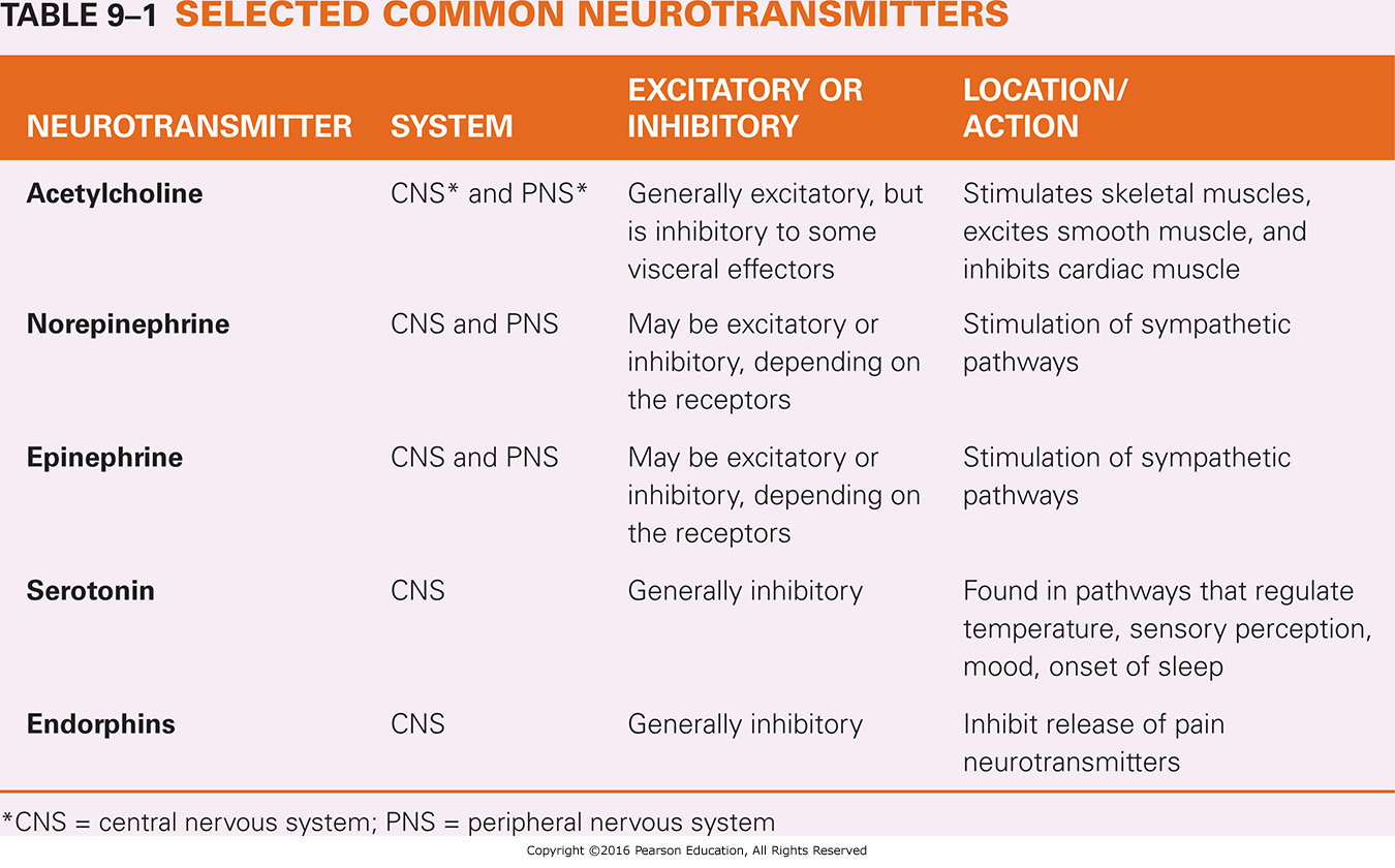 Selected Common Neurotransmitters 