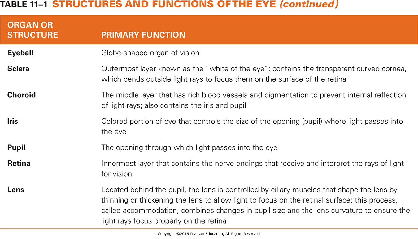 Structures and Functions of the Eye