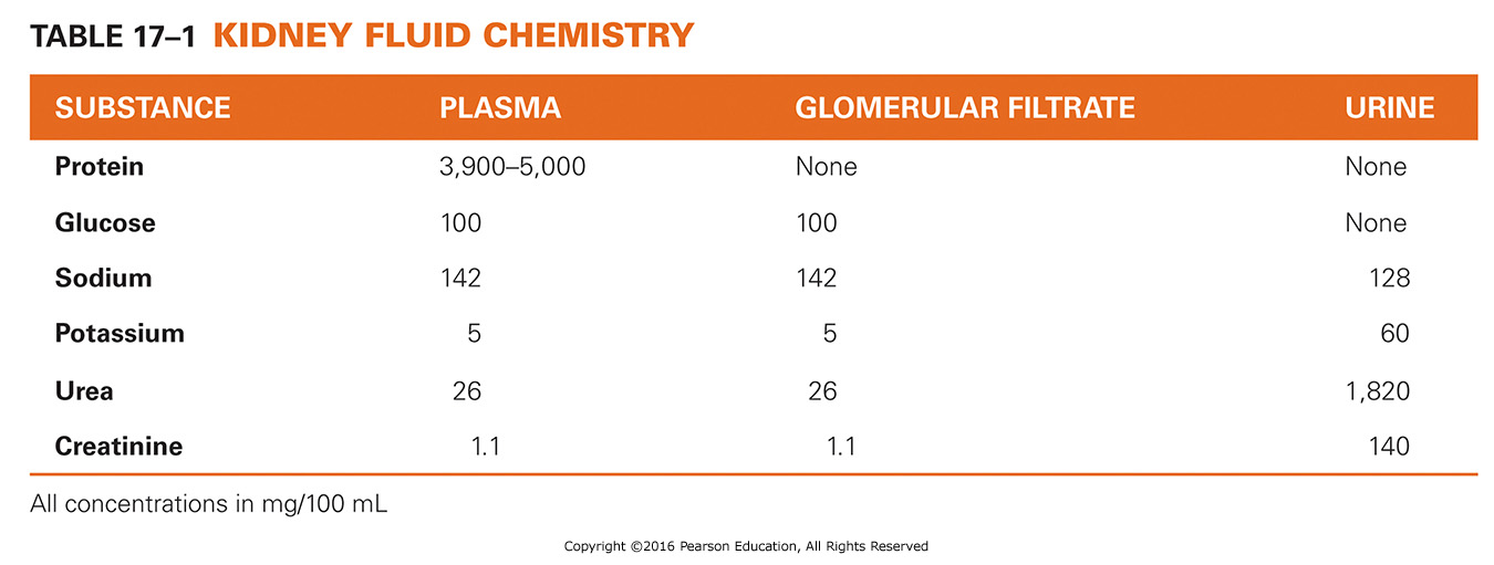 Kidney Fluid Chemistry 