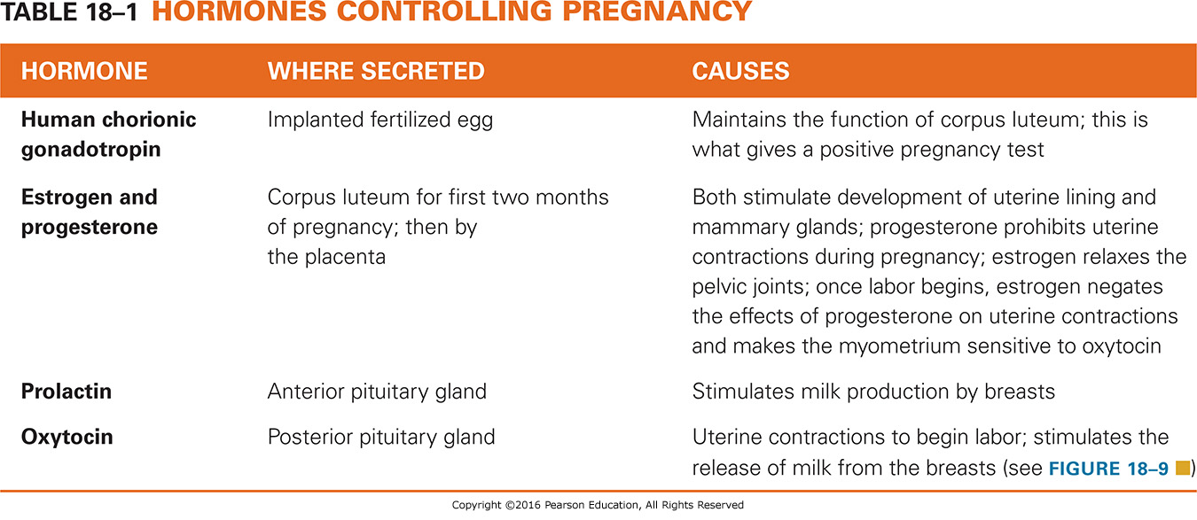 Hormones Controlling Pregnancy 