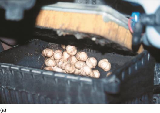 Note the discovery as the air filter housing was opened during service on a Pontiac Bonneville. The ...