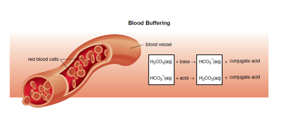 Blood Buffering