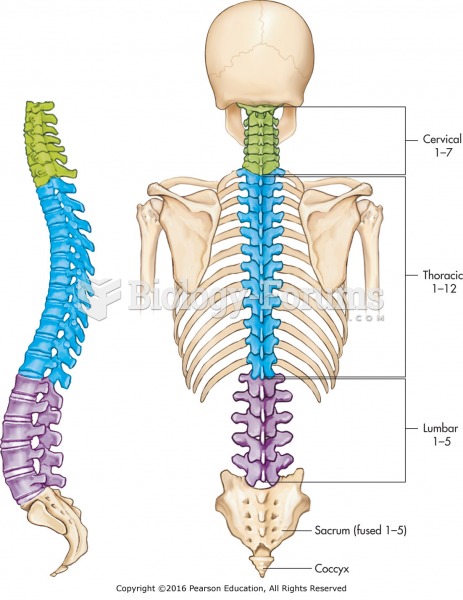 The spinal column.