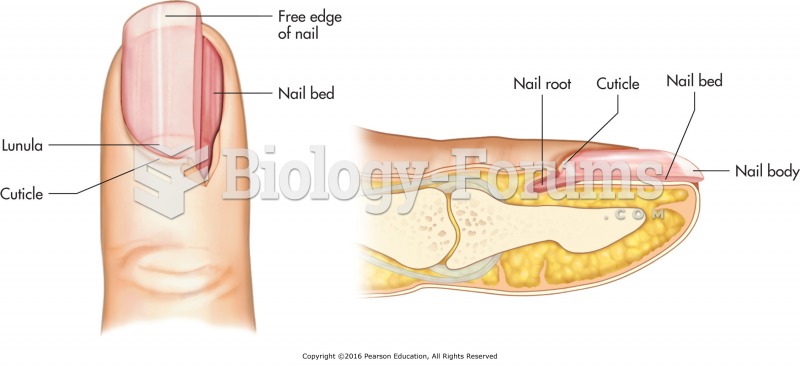 Structures of the fingernail.