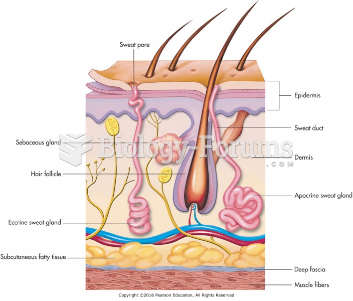Diagram of a hair follicle.