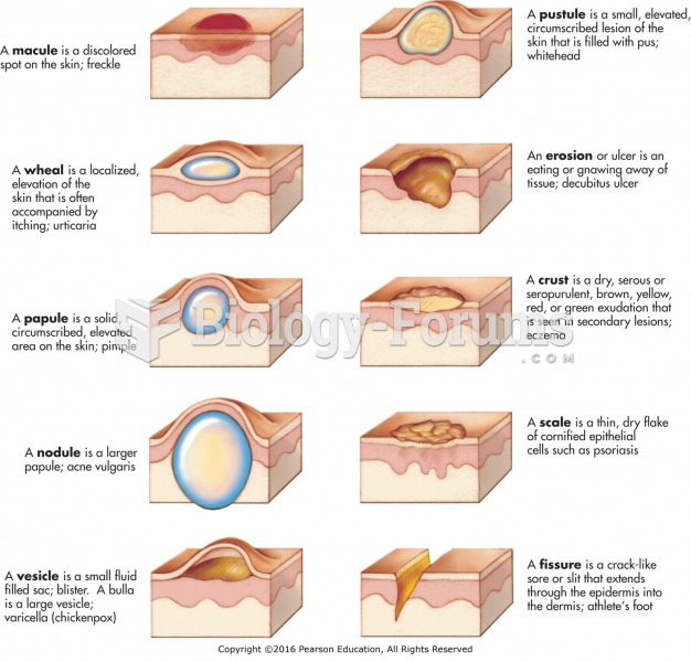 Various types of skin lesions.