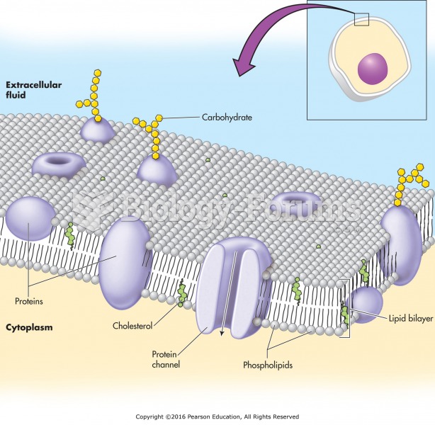 The cell membrane.