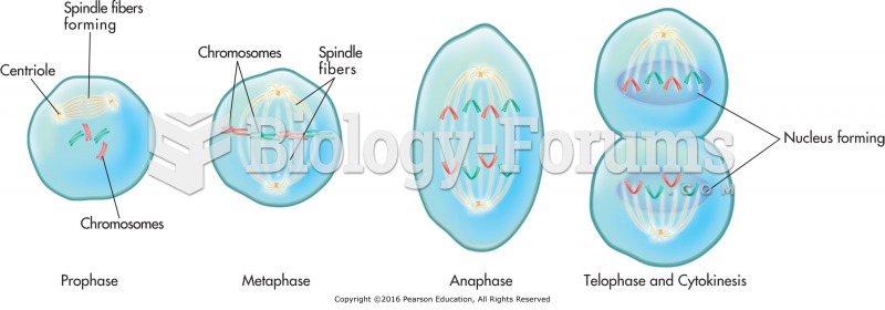 Phases of mitosis.