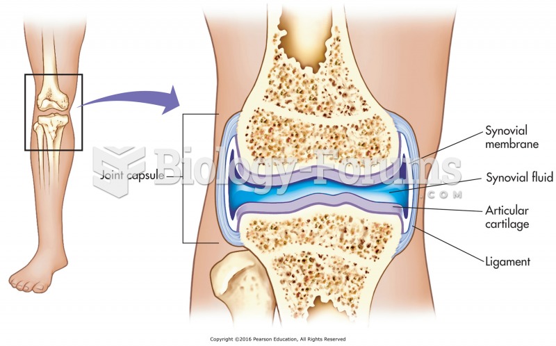 The synovial joint and membrane.