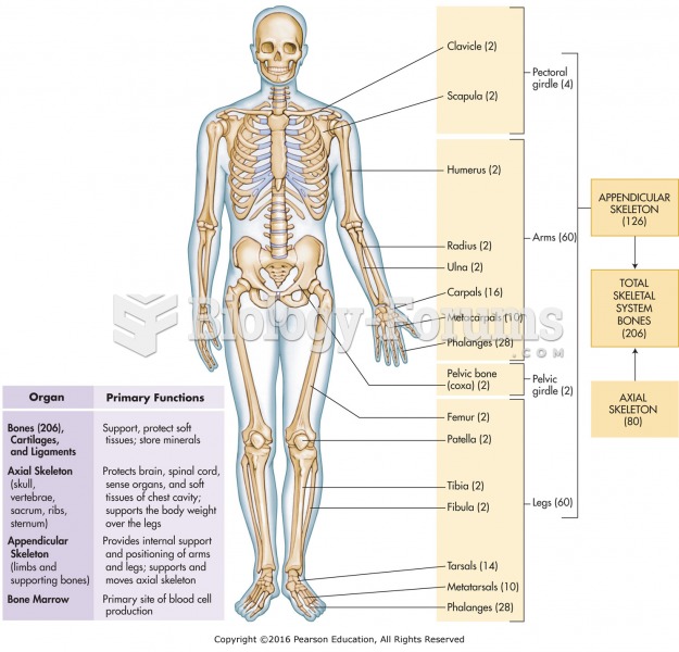 The skeletal system.