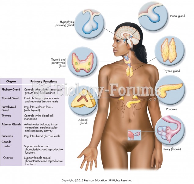 The endocrine system.