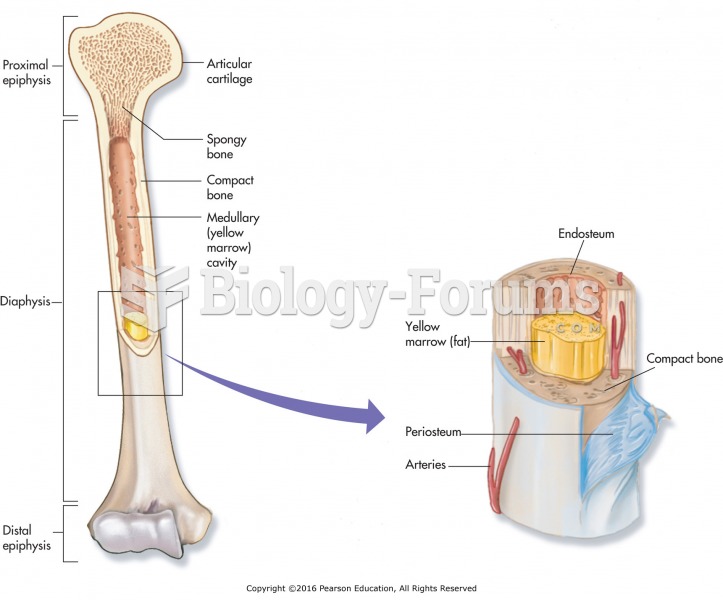 Basic bone anatomy.