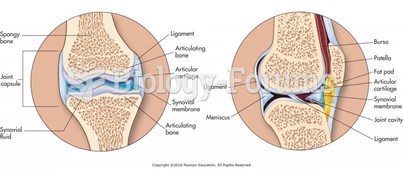 Articular cartilage and synovial joint.