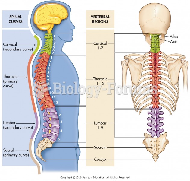 The spinal column.
