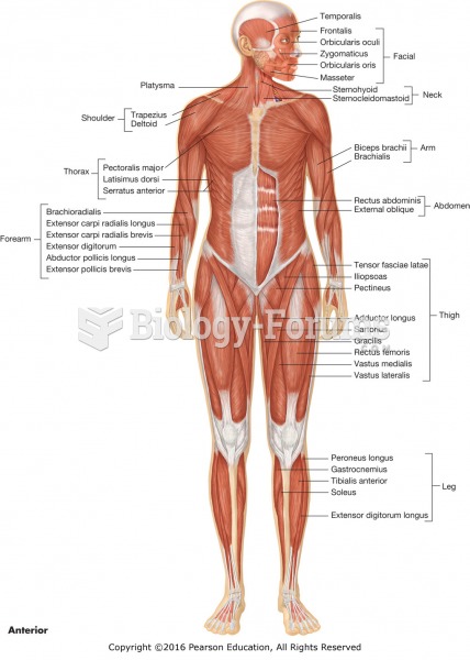 Anterior view of major muscles.