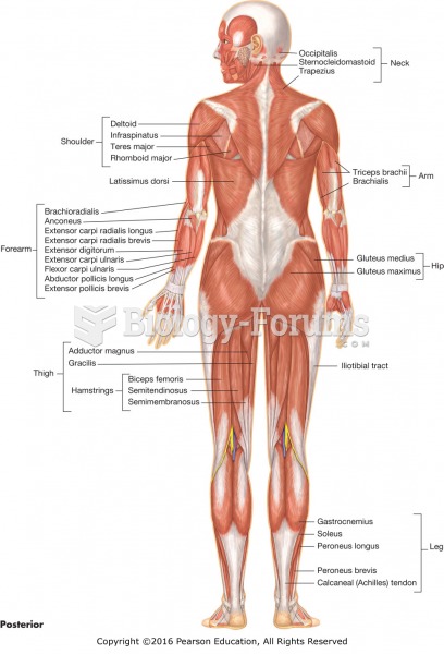 Posterior view of major muscles.