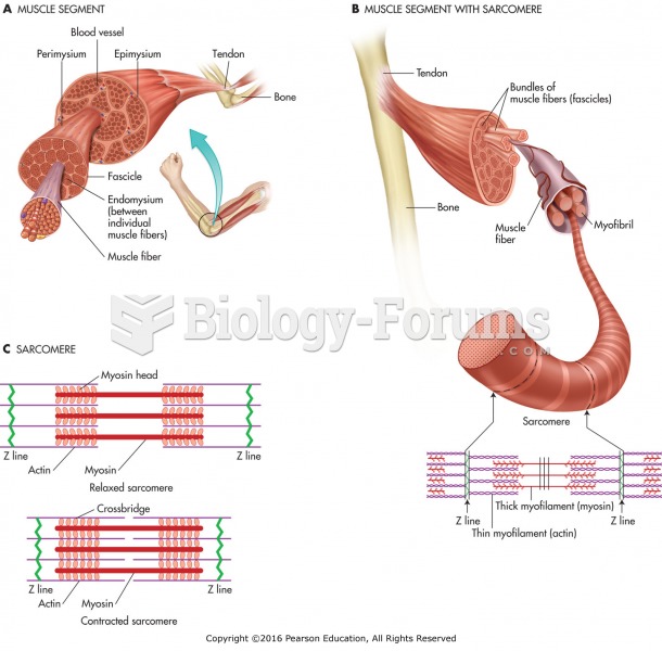 The muscle segment, muscle segment with sarcomere, and relaxed and contracted sarcomeres.