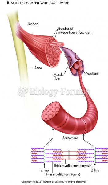(B) The muscle segment with sarcomere.