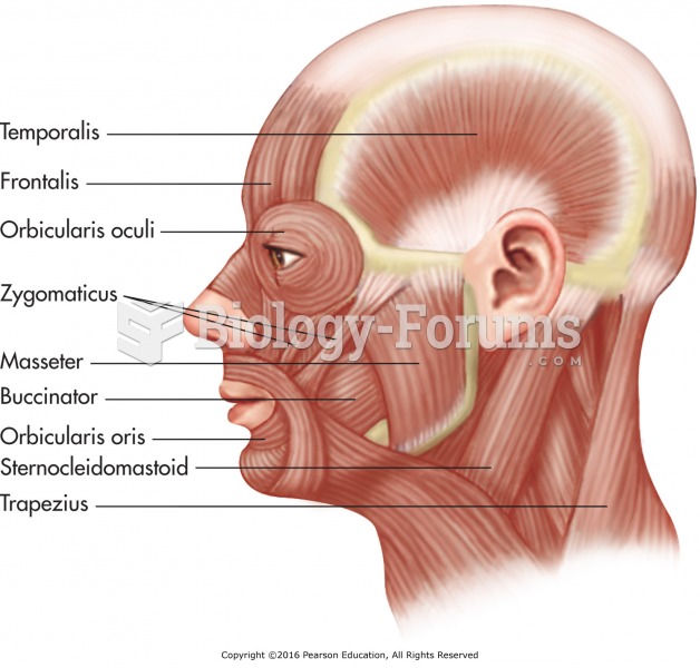 Skeletal facial muscles.