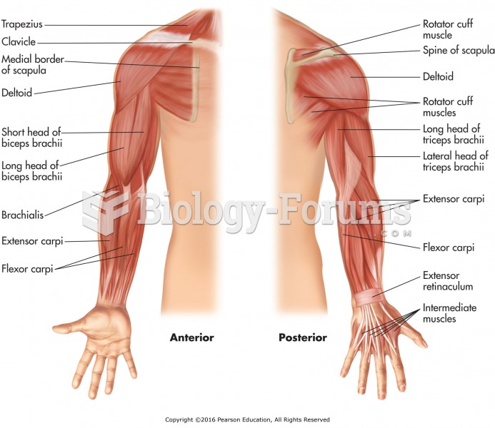 Skeletal muscles of the shoulder, arm, and hand.