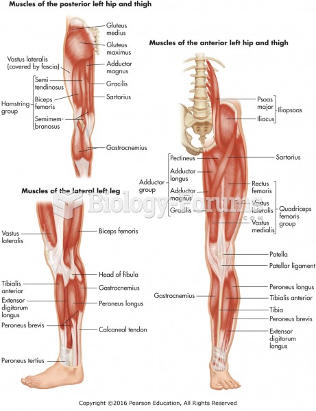 Skeletal muscles of the hip and leg.