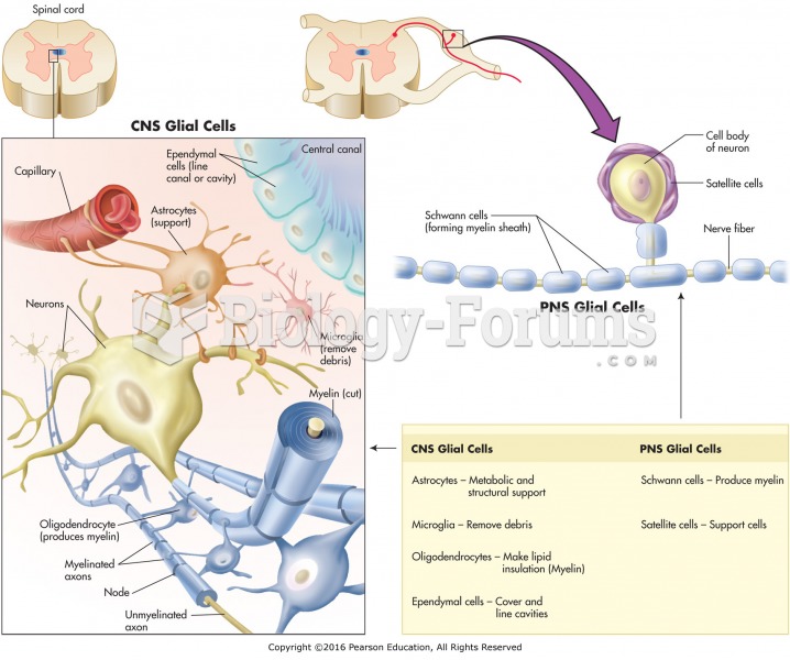 Glial cells and their functions.