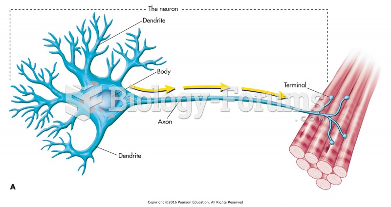 (A) A neuron connecting to a skeletal muscle.