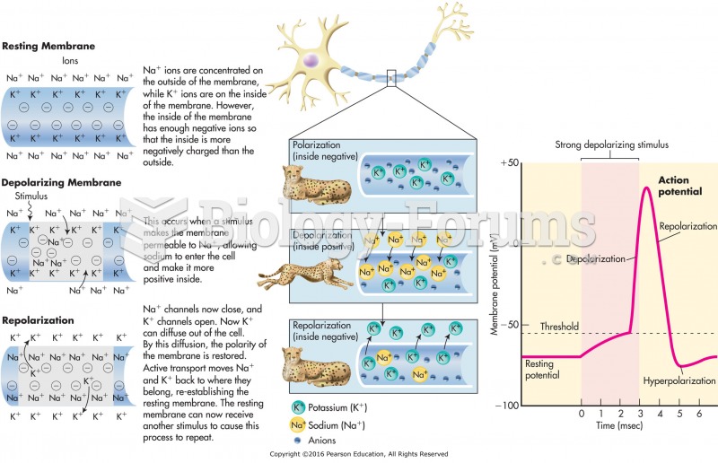 The action potential.