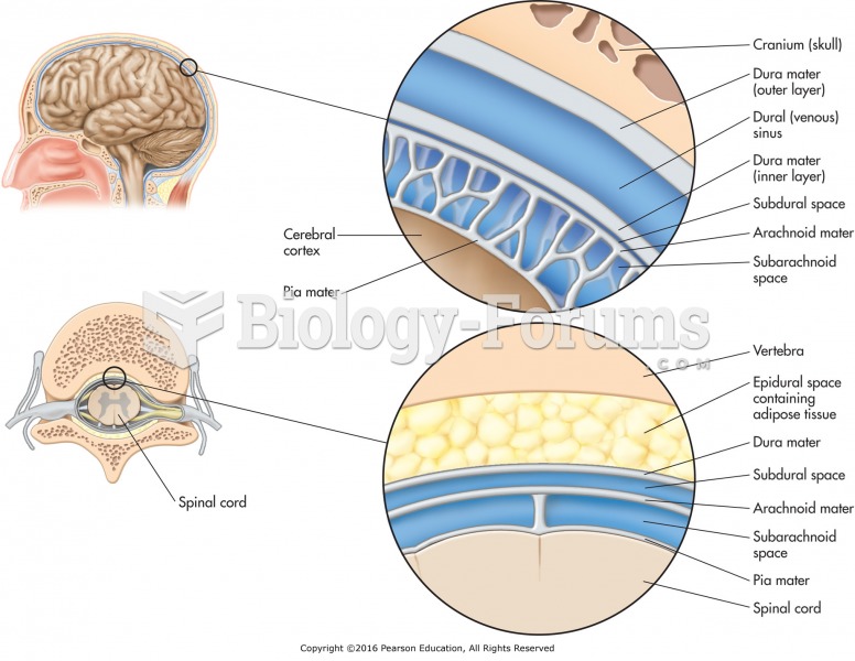 The meninges of the brain and spinal cord.