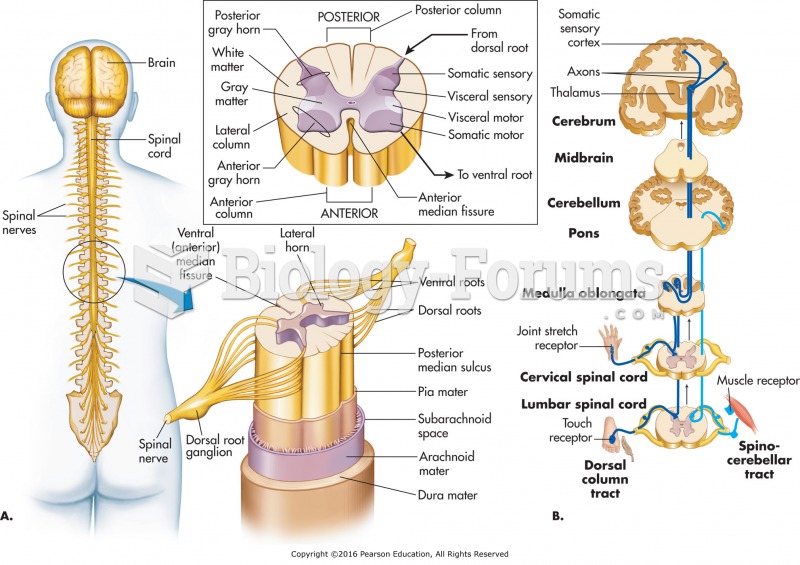 (A) Internal anatomy of the spinal cord. (B) Ascending spinal tracts.