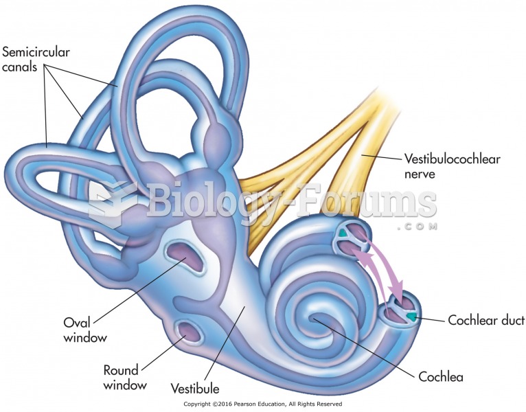 The structures of the inner ear.