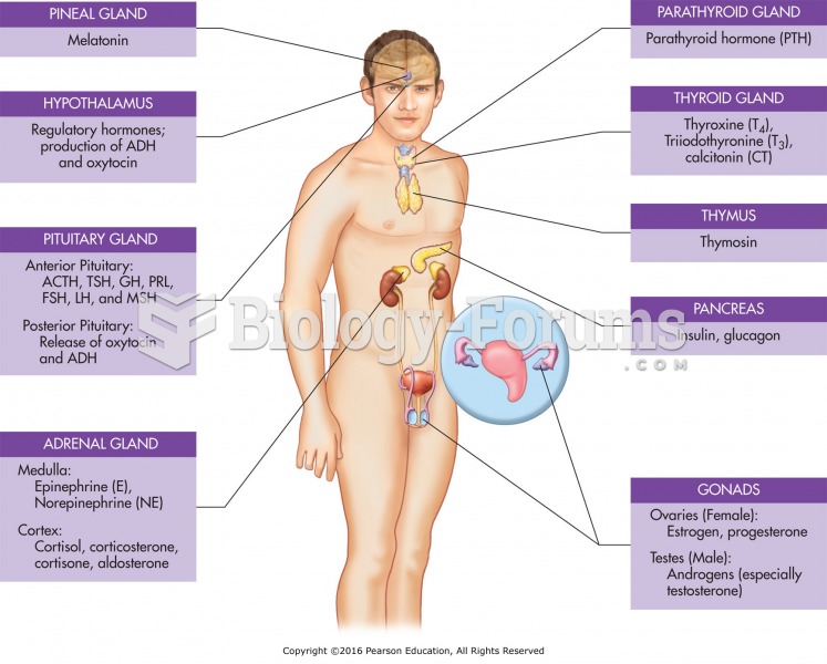 The endocrine glands and their hormones.