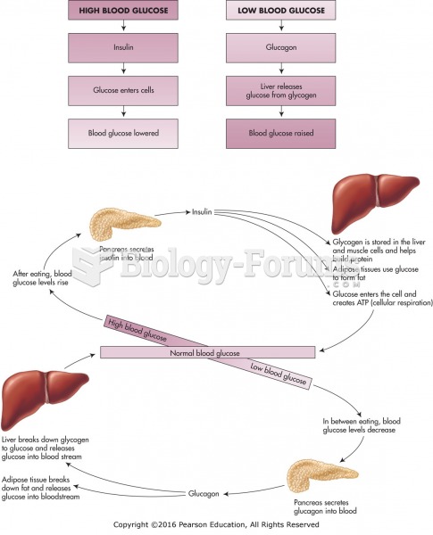 Control of blood glucose by pancreatic hormones.