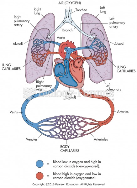 Overview of the cardiovascular system.