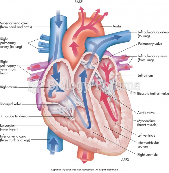 Anatomy of the heart. Remember: It is labeled right and left based on the patient’s perspective.