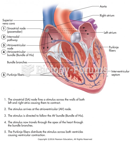 Conduction system of the heart.