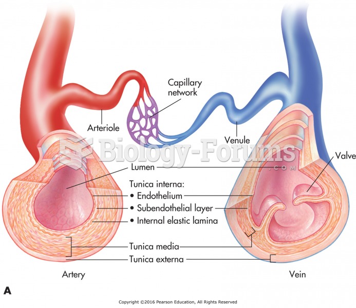 (A) Blood vessels and the capillary connection.