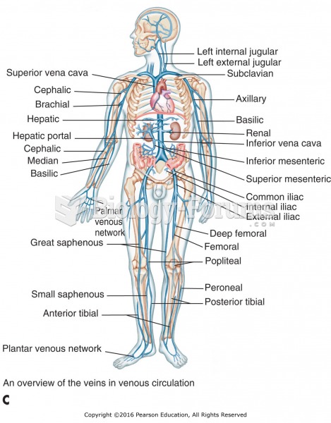 (C) Locations of the major veins.